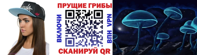 дарнет шоп Севастополь Галлюциногенные грибы прущие грибы